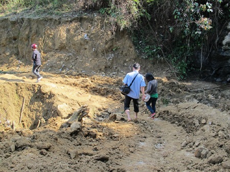 Trà Cang:  Một góc nhìn!