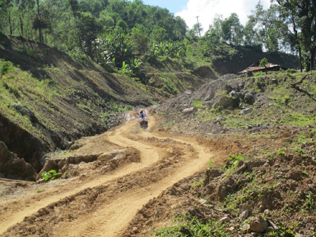 Trà Cang:  Một góc nhìn!