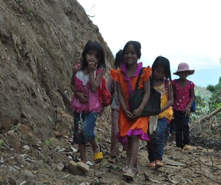 Trà Cang:  Một góc nhìn!