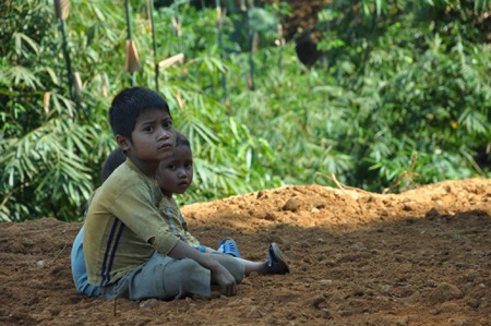 Trà Cang:  Một góc nhìn!