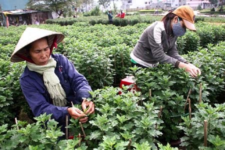 Chia thừa kế khi mẹ không để lại di chúc? - 1