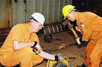 Đối tượng nào không phải xin cấp phép lao động tại Việt Nam? - 1 Ảnh minh họa