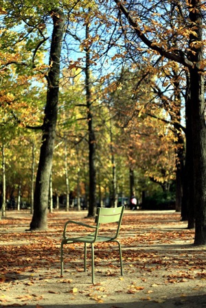 Chiều thu sâu lắng ở Paris! - 7 Thu về khiến lòng ta xao xuyến!