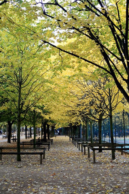 Chiều thu sâu lắng ở Paris! - 2 Chiều thu dịu dàng tại Paris