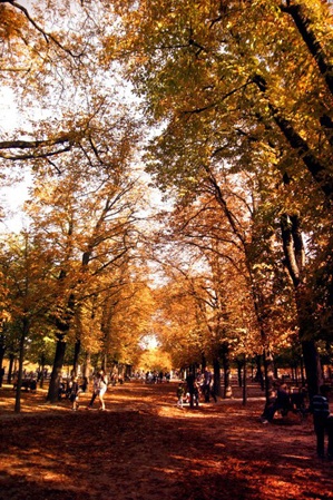 Chiều thu sâu lắng ở Paris! - 8 Thu về khiến lòng ta xao xuyến!