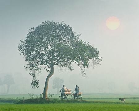 Việt Nam và những khoảnh khắc tuyệt đẹp - 10 Đường về nhà.