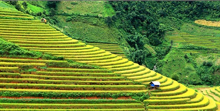 Những điểm du lịch “không nên bỏ qua” dịp 2/9 - 3 Thời điểm vào thu khí hậu mát mẻ, rất lý tưởng để đi chơi núi, thăm động, ngắm thác.