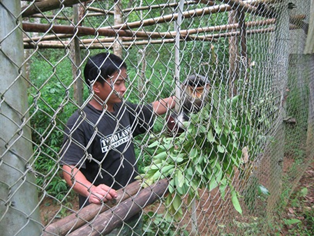 Trải nghiệm ở khu “an dưỡng” linh trưởng - 4 Những chú voọc này được chăm sóc rất cẩn thận