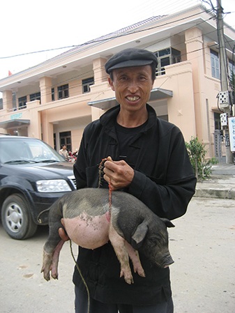 Văn hóa uống rượu ở vùng Cao nguyên đá - 5 Những chú lợn cắp nách được mang đến phiên chợ
