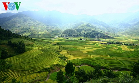 Những thửa ruộng bậc thang như biển sóng ở thung lũng Cao Phạ
