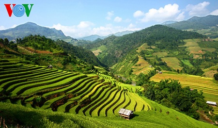 Quang cảnh núi rừng, ruộng bậc thang ở xã Chế Cu Nha