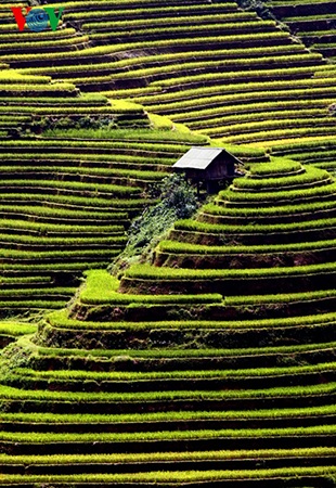 Những bậc thang” cao mãi ở La Pán Tẩn