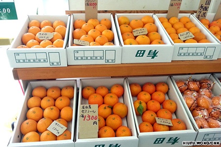 10 điều nên làm khi thăm “người đẹp ngủ” ở Nhật Bản - 10 10 điều nên làm khi thăm “người đẹp ngủ” ở Nhật Bản
