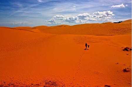 9 cảnh đẹp ở Việt Nam gây ngạc nhiên cho du khách