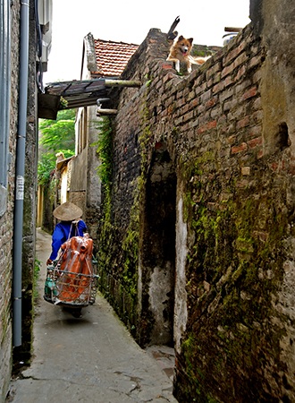 Bát Tràng hiện nay các chủ cơ sở kinh doanh đã tập hợp ở đầu làng thành một khu mua sắm sầm uất