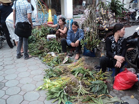 Chợ Bưởi sau cơn "đại phẫu" - 2 Những phiên chợ Bưởi xưa mang đậm bản sắc văn hoá của người Việt (ảnh minh hoạ)