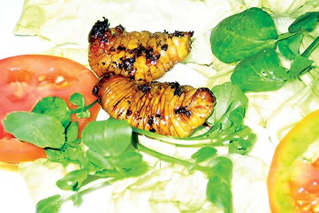 Dù là món gì, đuông vẫn được người đời xưng tụng là “Đệ nhất đặc sản miền Tây Nam bộ”