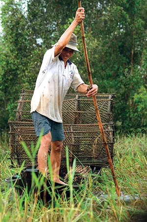 Mưu sinh mùa nước nổi - 4 Hái rau