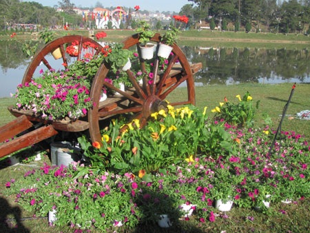 Háo hức chờ đón lễ hội hoa Đà Lạt - 1 Rực rỡ sắc hoa Đà Lạt