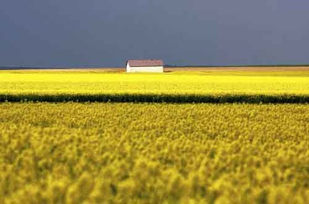 Những địa danh đẹp không nên bỏ lỡ - 4 Những địa danh đẹp không nên bỏ lỡ