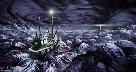 Sóng biển chính là cây cải bắp tím