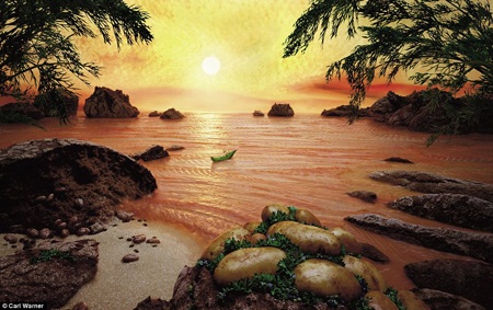 Đại dương mênh mông tạo nên từ thịt cá hồi tươi