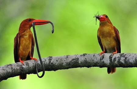 Có một “tiểu Hạ Long” trên đất phương Nam - 4 Bình minh và hoàng hôn và trên quần đảo Bà Lụa là những thời khắc đẹp nhất của thiên nhiên