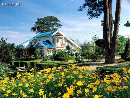 Háo hức chờ đón lễ hội hoa Đà Lạt - 4 Phiên chợ hoa Đà Lạt mang tính xã hội hóa cao với sự tham gia của các làng hoa