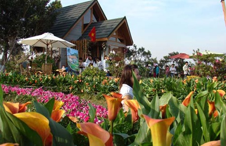 Háo hức chờ đón lễ hội hoa Đà Lạt - 5 Phiên chợ hoa Đà Lạt mang tính xã hội hóa cao với sự tham gia của các làng hoa