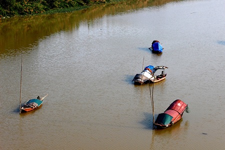 Đẹp ngỡ ngàng cây cầu “sống” qua 3 thế kỷ ở Hà Thành - 1 Đẹp ngỡ ngàng cây cầu “sống” qua 3 thế kỷ ở Hà Thành