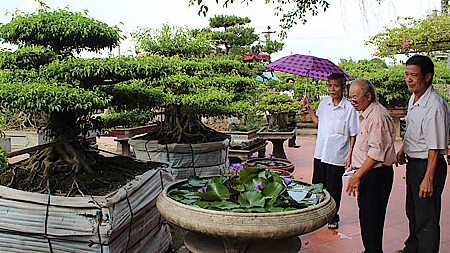 Chu du làng cây cảnh đẹp nhất trời Nam - 2 Mỗi thế cây, dáng cây còn được tạo thếvới những vẻ đẹp khác nhau và mang một triết lý khác nhau