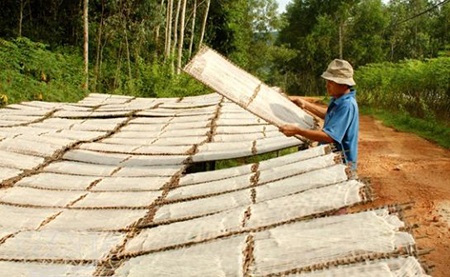 Lạ hiếm đặc sản Phở sắn Quế Sơn - 2 Để có được những tấm phở thơm ngon đòi hỏi người làm phải trải qua nhiều công đoạn khá công phu.