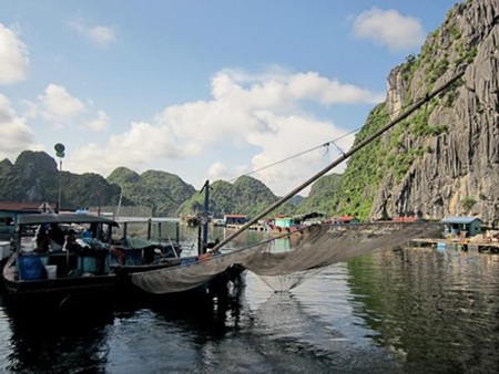 Đến Hải Phòng ghé làng chài cổ nhất Việt Nam - 2 Sinh hoạt ở làng chài là những sinh hoạt độc đáo, thú vị và hiếm gặp (ảnh: Baoanh)