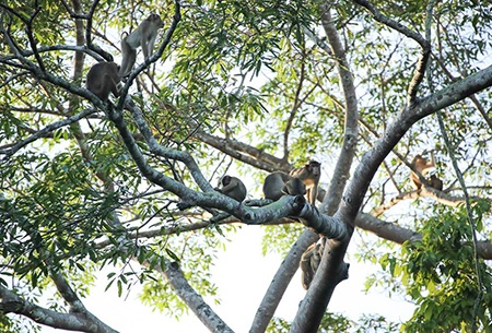 Sabah - Vùng đất của gió qua ống kính nhiếp ảnh gia Việt Nam - 4 Sabah - Vùng đất của gió qua ống kính nhiếp ảnh gia Việt Nam