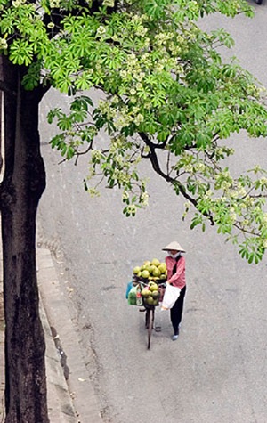 Du ngoạn 5 chốn lãng mạn nhất ở Hà Nội - 4 du ngoạn 5 chốn lãng mạn nhất ở Hà Nội