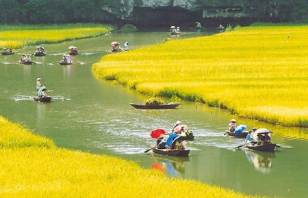 Khám phá "10 kiệt tác ngầm" đẹp nhất Việt Nam - 2 Đường tới Tam Cốc Bích Động bên
bờ lúa vàng