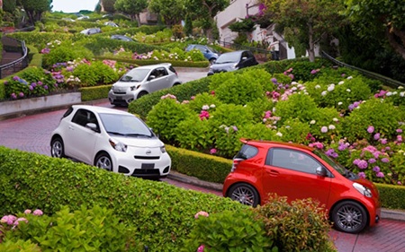 Trên những đại lộ ở thành phố này người ta trồng nhiều hoa chẳng khác gì những công viên 