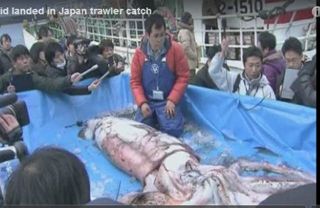 Ảnh chụp từ clip