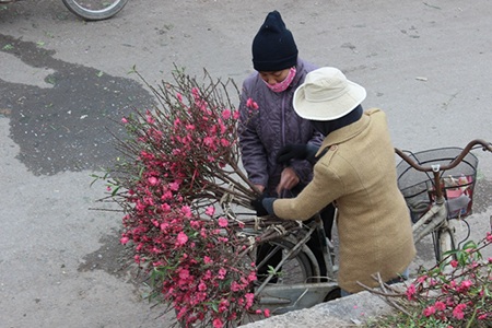 Về quê ăn Tết - 1 Về quê ăn Tết