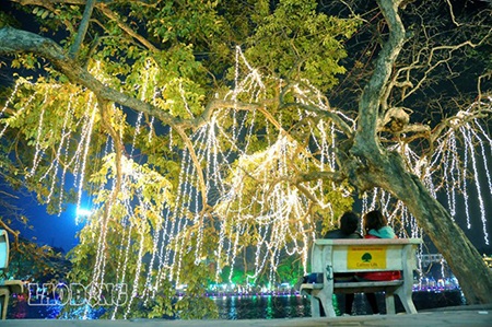 Những hàng cây lấp lánh ánh đèn nhiều màu sắc