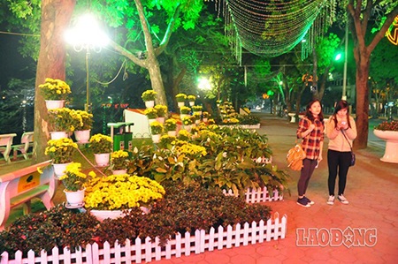 Đường hoa Đinh Tiên Hoàng