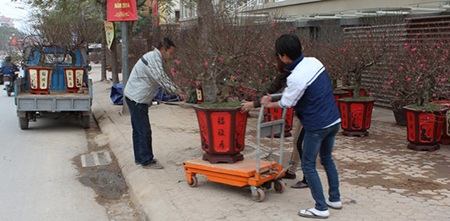 Sắc xuân đã về trên phố… - 4 Năm nay giá đào, quất không tăng nhiều so với năm ngoái