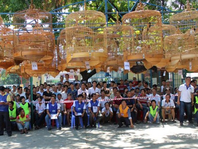 Tết đến vào Nha Trang xem chim, cây, đá đua tài - 2 Tại TP. Nha Trang, hiện có 10 trường chim lớn