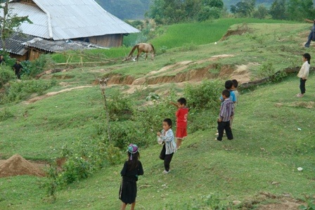 Một chiếc đầu trâu cắm trên cọc chôn trước mộ người chết ở Bản Phùng