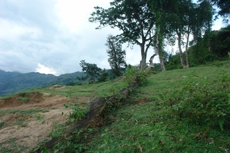 Khu vực nghĩa địa đầu trâu