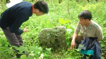 Kỳ bí nghĩa địa sọ trâu giữa lưng chừng trời - 5 Phiến đá cổ trước đền thờ Thần Rừng và vua Gia Long của người La Chí