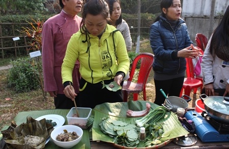 Gói chả rau đáu