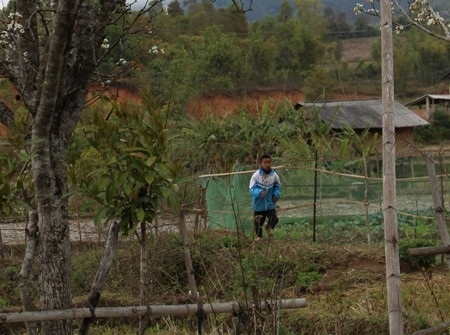 Đeo bám, chèo kéo khách du lịch làm xấu hình ảnh Điện Biên