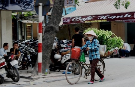 Giữa con phố nhộn nhịp, chúng ta lại dễ dàng bắt gặp những chiếc xe hoa loa kèn đẹp đến nao lòng