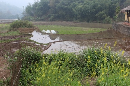 Lên “vương quốc cổ vật” khám phá cuộc sống của người Mường Bi